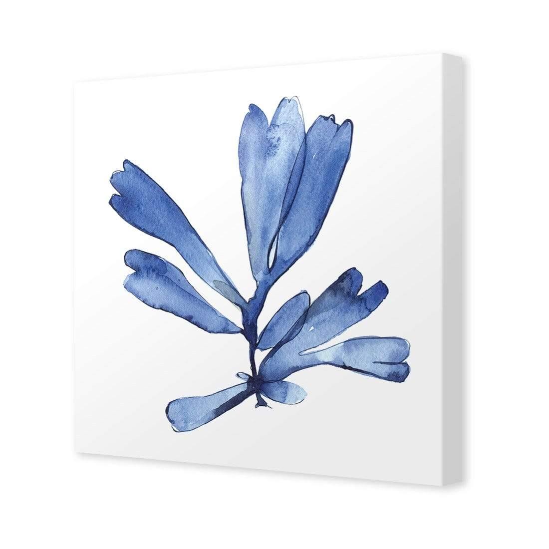 Hampton Flora 1 - Wall Art Designs - 3907_AS_Q WAD_CP - MPY - 260 - M - S - S_37x37_NONE