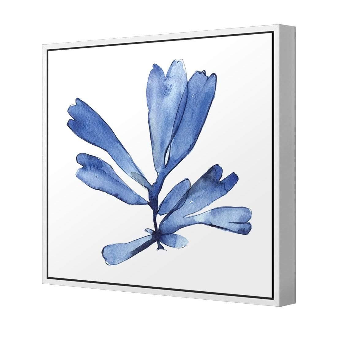 Hampton Flora 1 - Wall Art Designs - 3907_AS_Q WAD_CP - MPY - 260 - M - S - S_37x37_S - 1550 - WHT