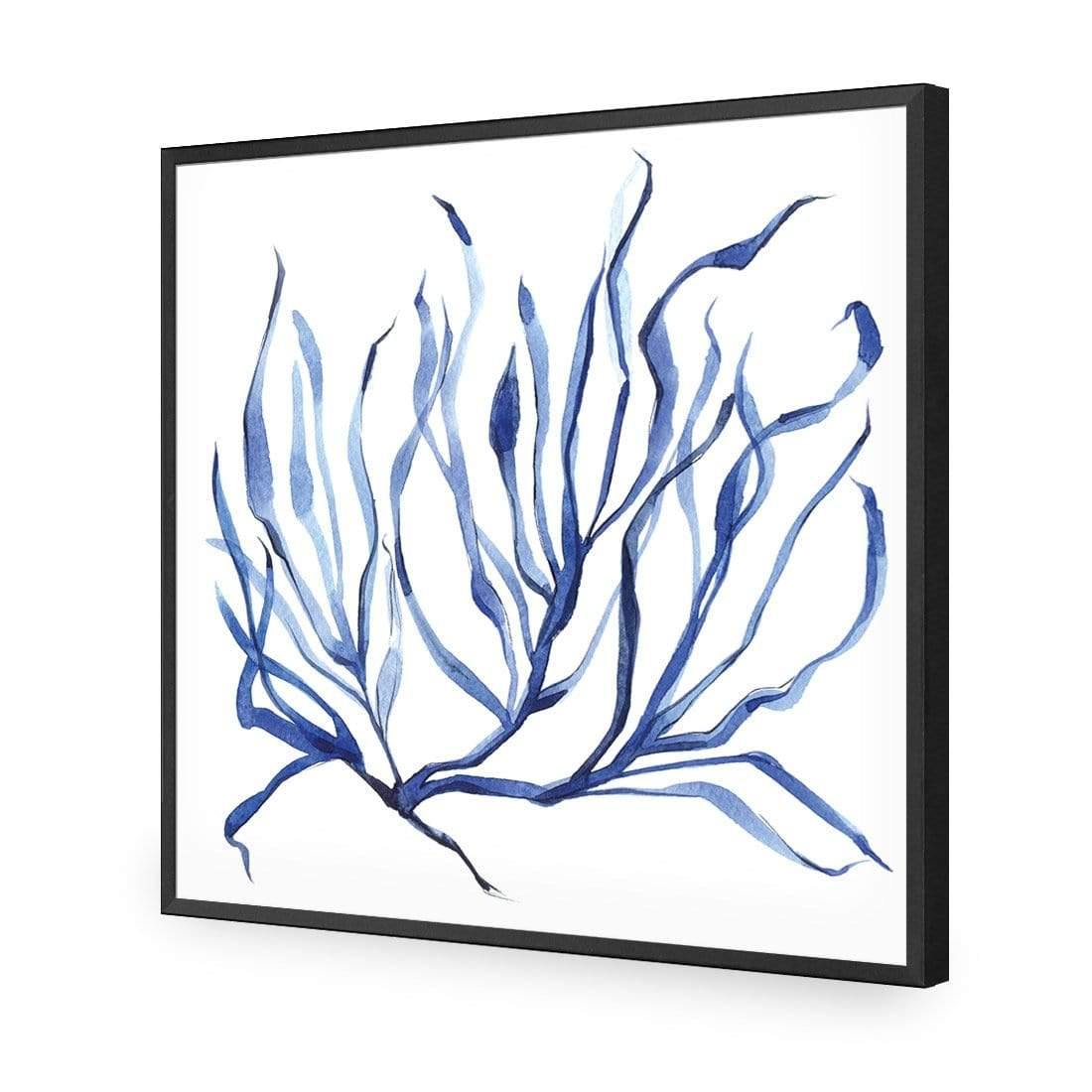 Hampton Flora 3 - Wall Art Designs - 3908_AS_Q WAD_AP - 030 - EDG_37x37_S - 2538 - BLK