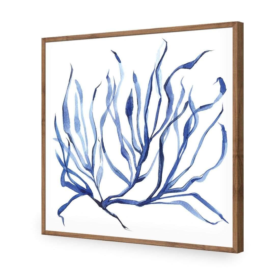 Hampton Flora 3 - Wall Art Designs - 3908_AS_Q WAD_AP - 030 - EDG_37x37_S - 2538 - NAT