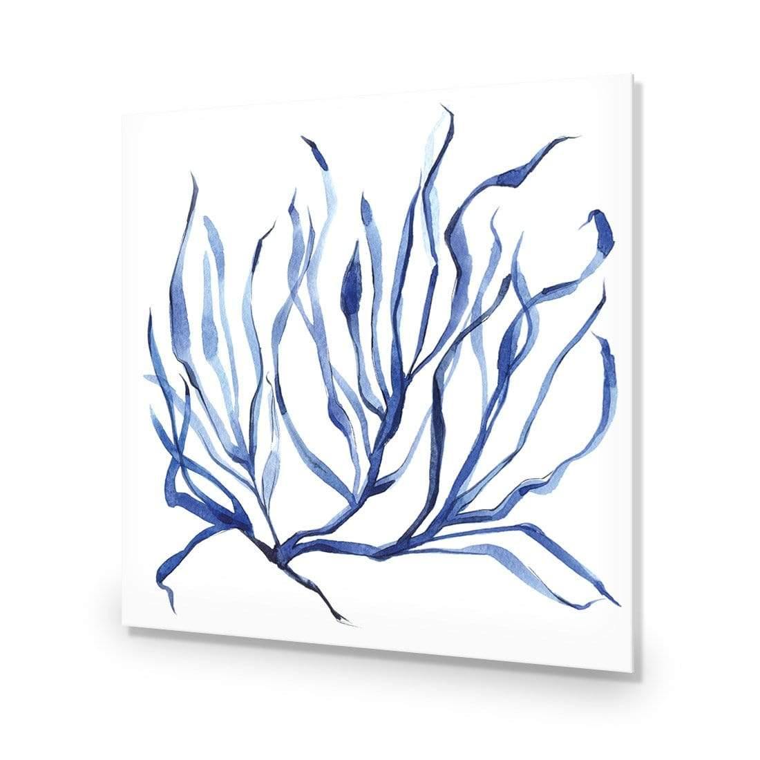 Hampton Flora 3 - Wall Art Designs - 3908_AS_Q WAD_AP - 030 - EDG_37x37_NONE