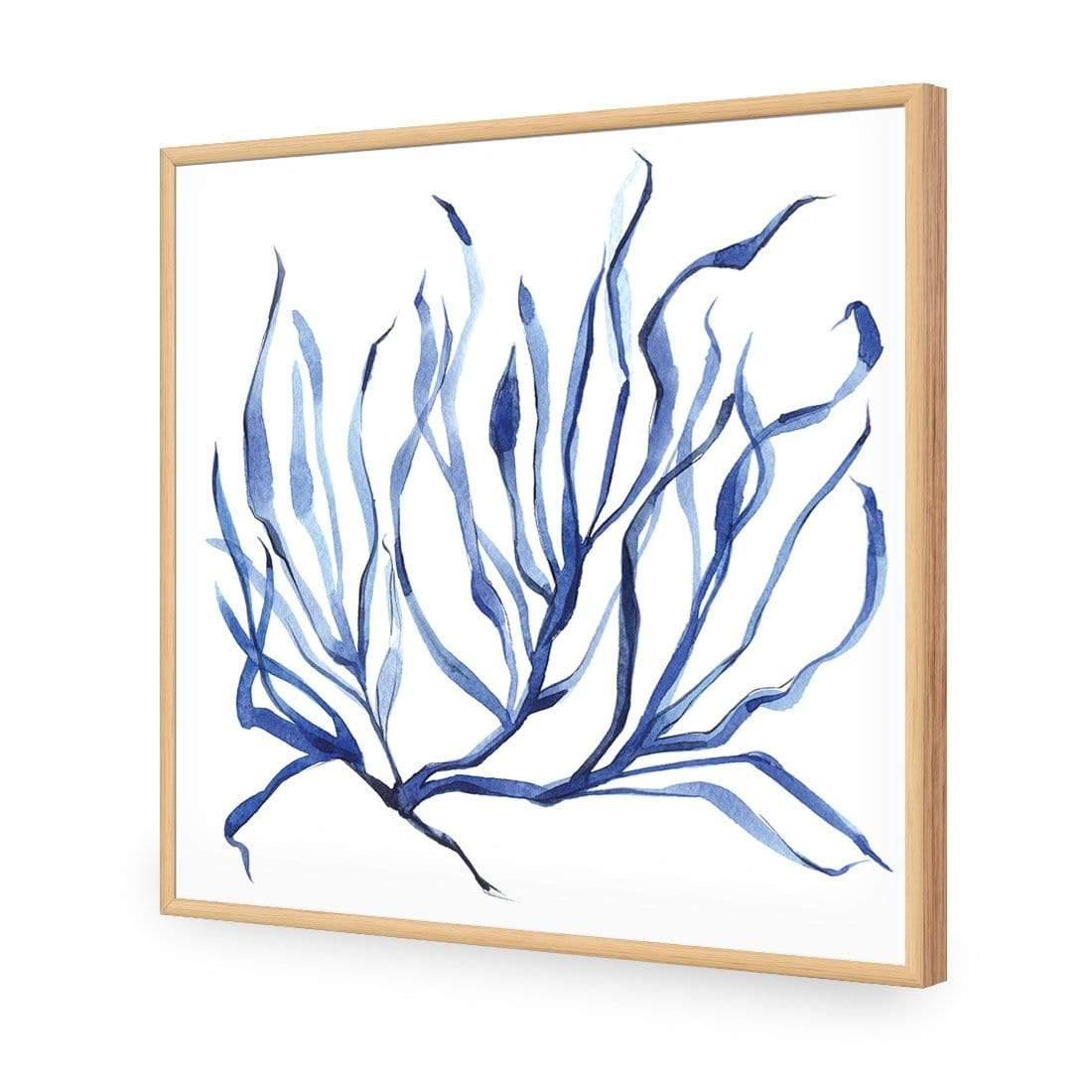 Hampton Flora 3 - Wall Art Designs - 3908_AS_Q WAD_AP - 030 - EDG_37x37_S - 2538 - OAK