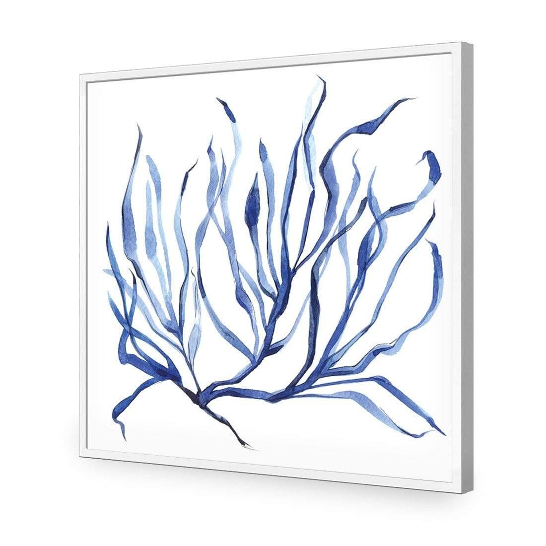 Hampton Flora 3 - Wall Art Designs - 3908_AS_Q WAD_AP - 030 - EDG_37x37_S - 2538 - WHT