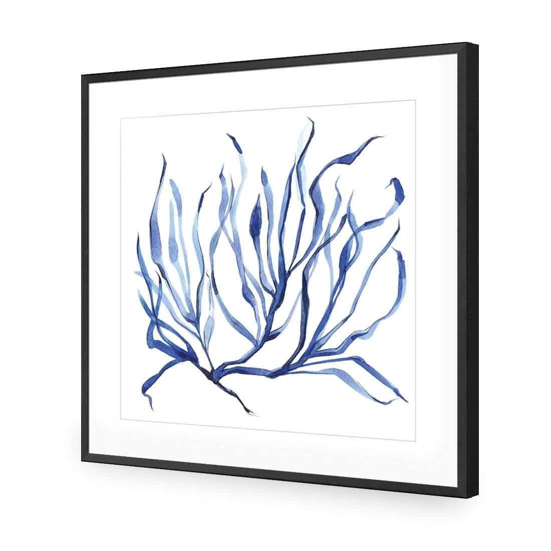 Hampton Flora 3 - Wall Art Designs - 3908_AS_Q WAD_AP - 030 - MAT_37x37_S - 2538 - BLK