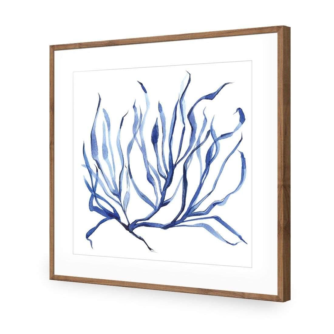 Hampton Flora 3 - Wall Art Designs - 3908_AS_Q WAD_AP - 030 - MAT_37x37_S - 2538 - NAT