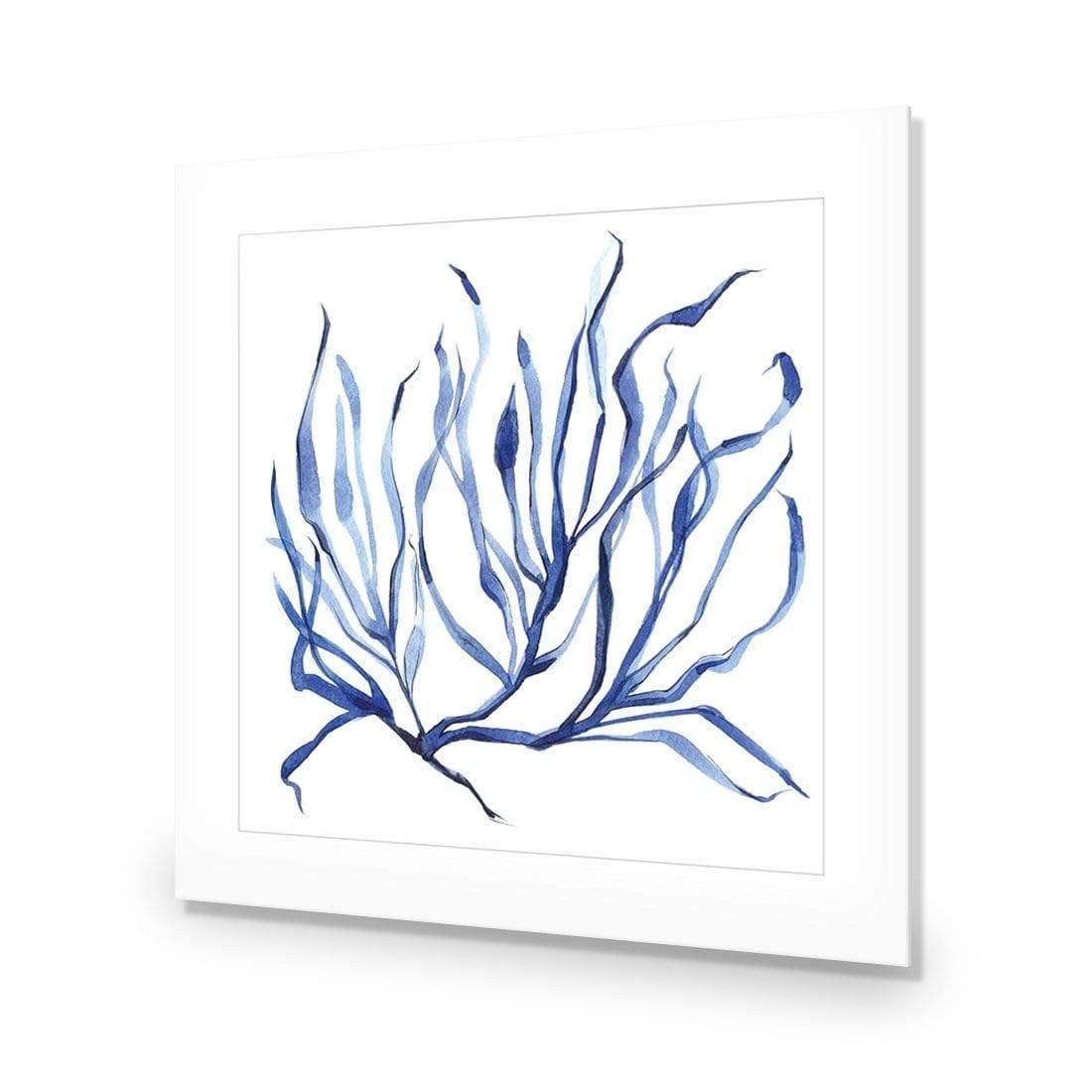 Hampton Flora 3 - Wall Art Designs - 3908_AS_Q WAD_AP - 030 - MAT_37x37_NONE