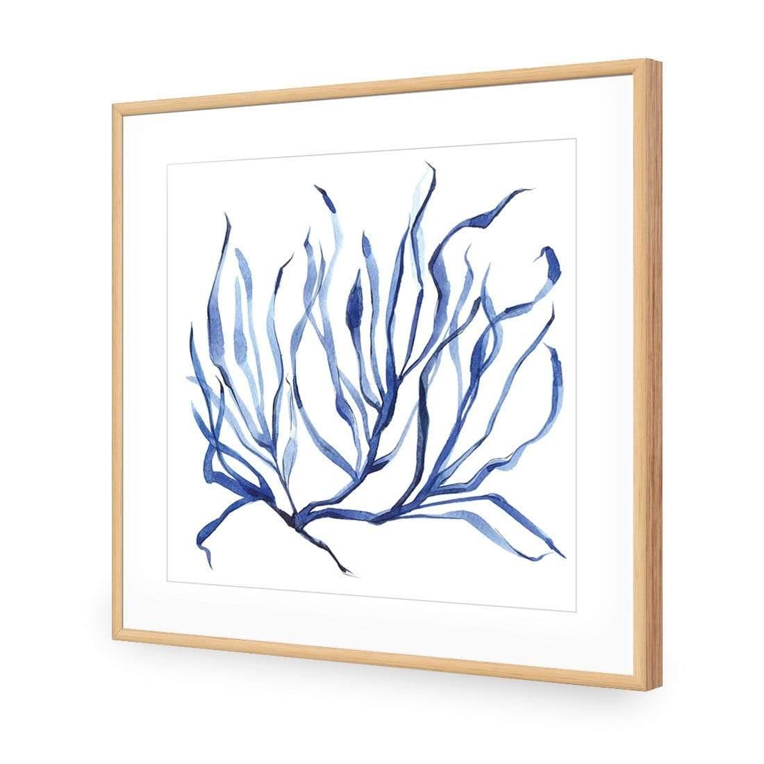 Hampton Flora 3 - Wall Art Designs - 3908_AS_Q WAD_AP - 030 - MAT_37x37_S - 2538 - OAK