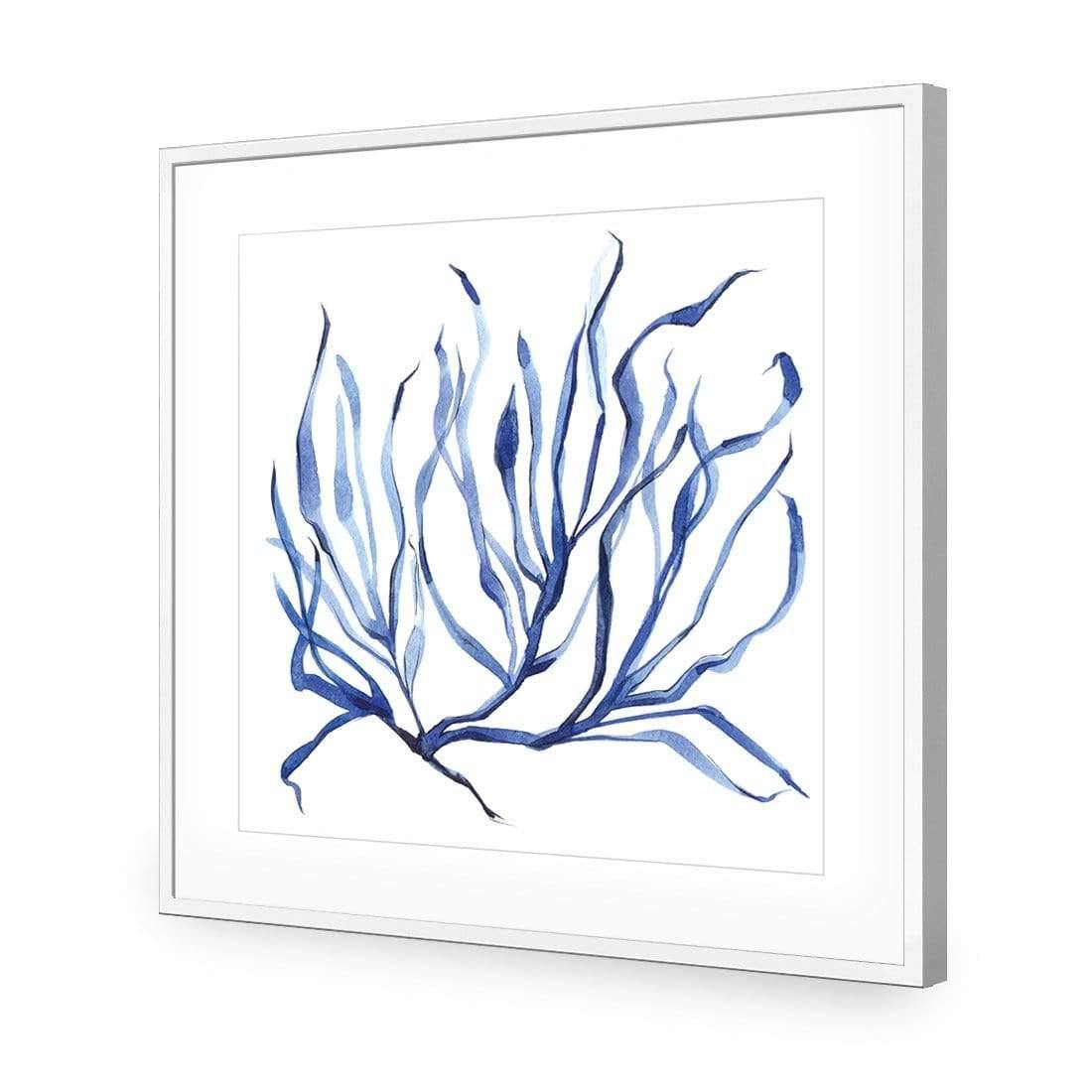 Hampton Flora 3 - Wall Art Designs - 3908_AS_Q WAD_AP - 030 - MAT_37x37_S - 2538 - WHT