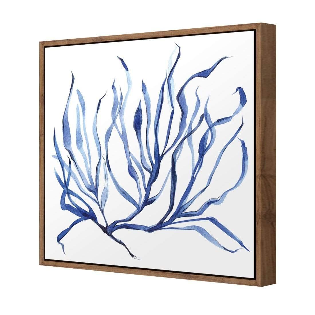 Hampton Flora 3 - Wall Art Designs - 3908_AS_Q WAD_CP - MPY - 260 - M - S - S_37x37_S - 1550 - NAT