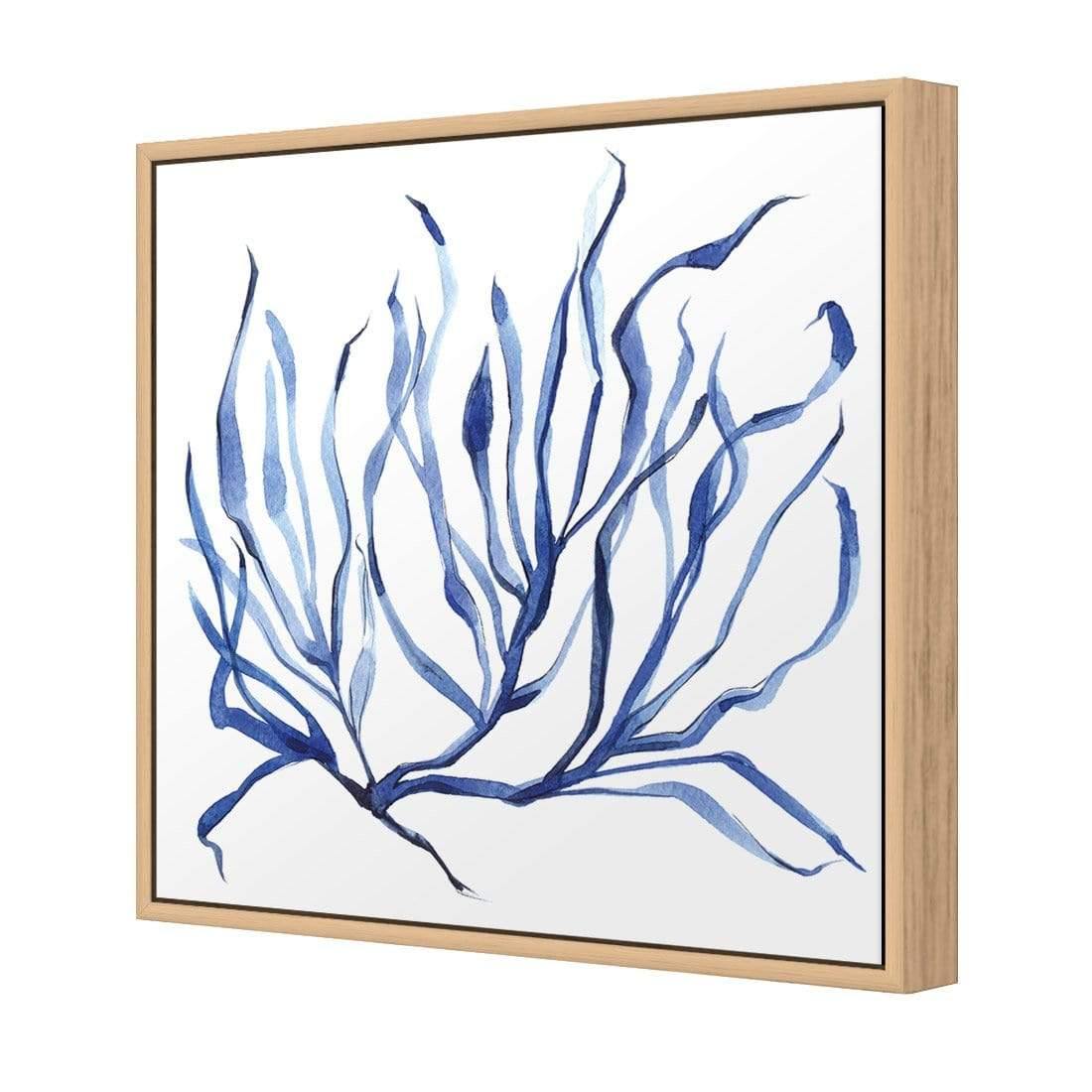 Hampton Flora 3 - Wall Art Designs - 3908_AS_Q WAD_CP - MPY - 260 - M - S - S_37x37_S - 1550 - OAK