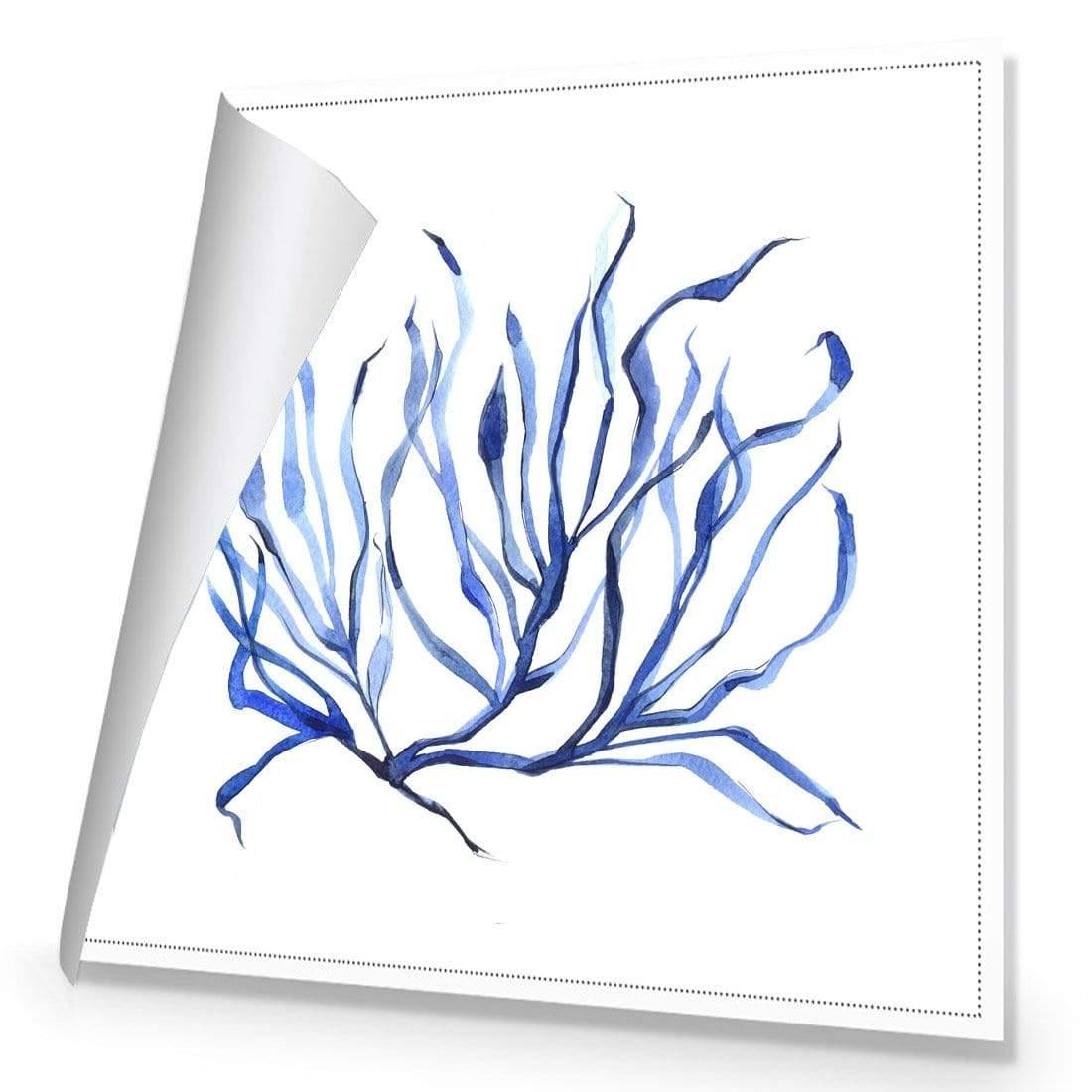 Hampton Flora 3 - Wall Art Designs - 3908_AS_Q WAD_CP - MPY - 260 - M - R_37x37_NONE