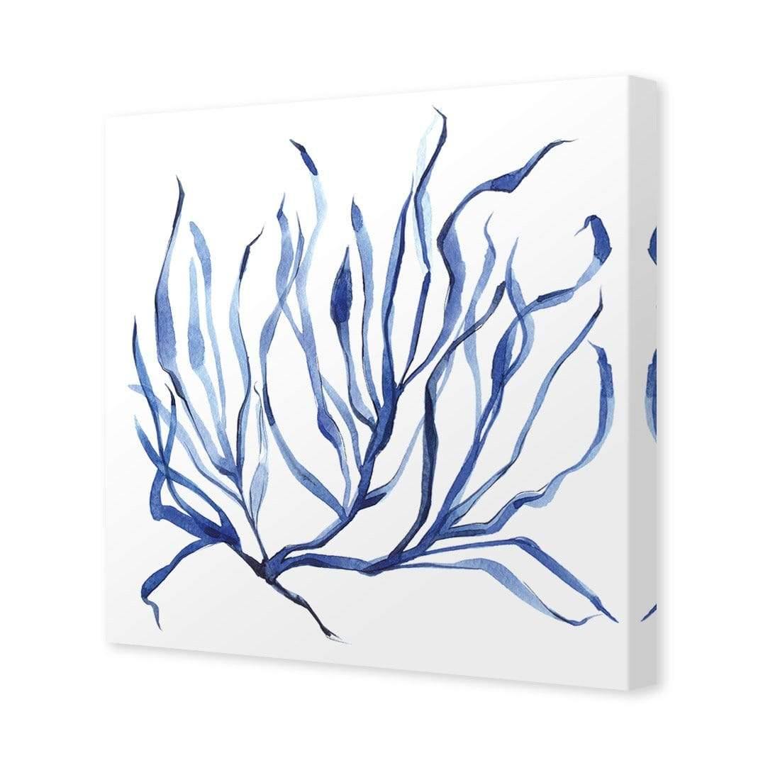 Hampton Flora 3 - Wall Art Designs - 3908_AS_Q WAD_CP - MPY - 260 - M - S - S_37x37_NONE