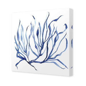 Hampton Flora 3 - Wall Art Designs - 3908_AS_Q WAD_CP - MPY - 260 - M - S - S_37x37_NONE
