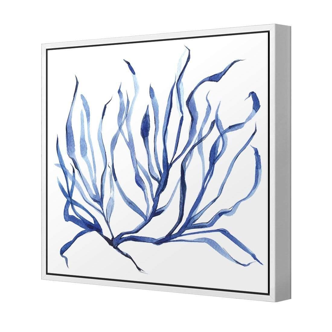 Hampton Flora 3 - Wall Art Designs - 3908_AS_Q WAD_CP - MPY - 260 - M - S - S_37x37_S - 1550 - WHT