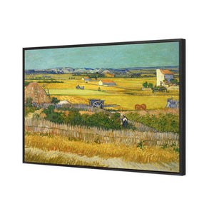 Harvest by Van Gogh | Standard Canvas | Floating Frame | Black
