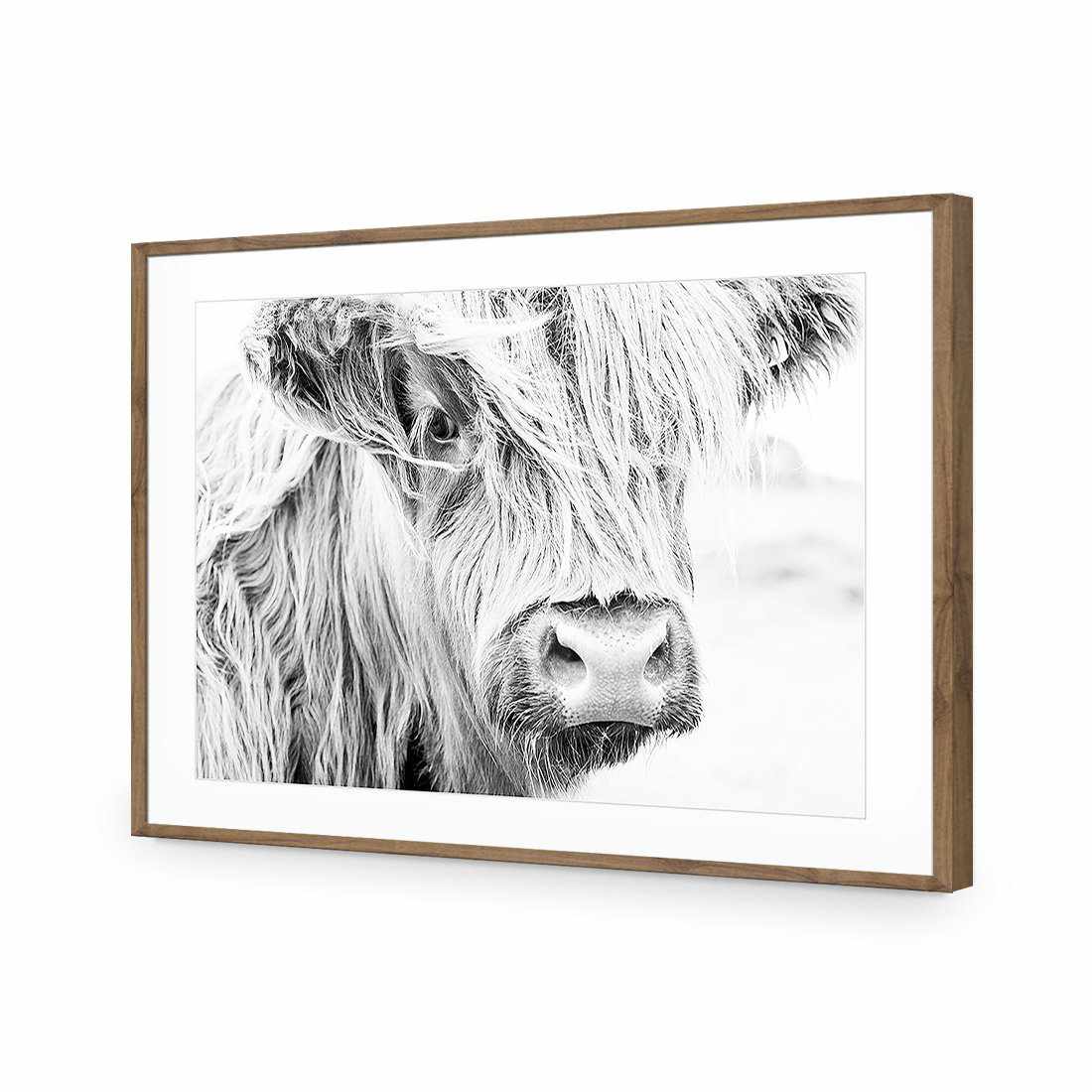 Henrietta the Highland Cow Acrylic Print Art - Wall Art Designs - 3161_AR_H WAD_AP - 030 - MAT_45x30_S - 2538 - NAT