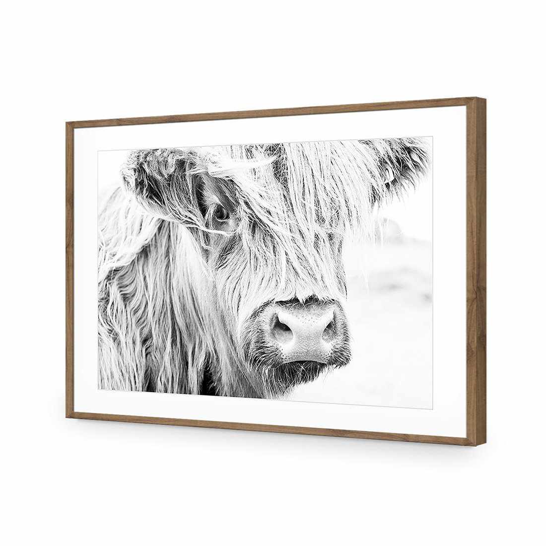 Henrietta the Highland Cow | Classic Acrylic | Flat Frame With Border | Natural