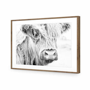 Henrietta the Highland Cow | Classic Acrylic | Flat Frame With Border | Natural