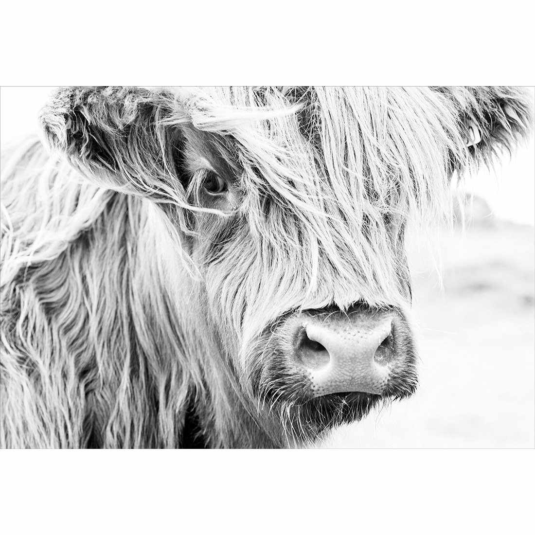 Henrietta the Highland Cow Acrylic Print Art - Wall Art Designs - 3161_AR_H WAD_AP - 030 - MAT_45x30_NONE