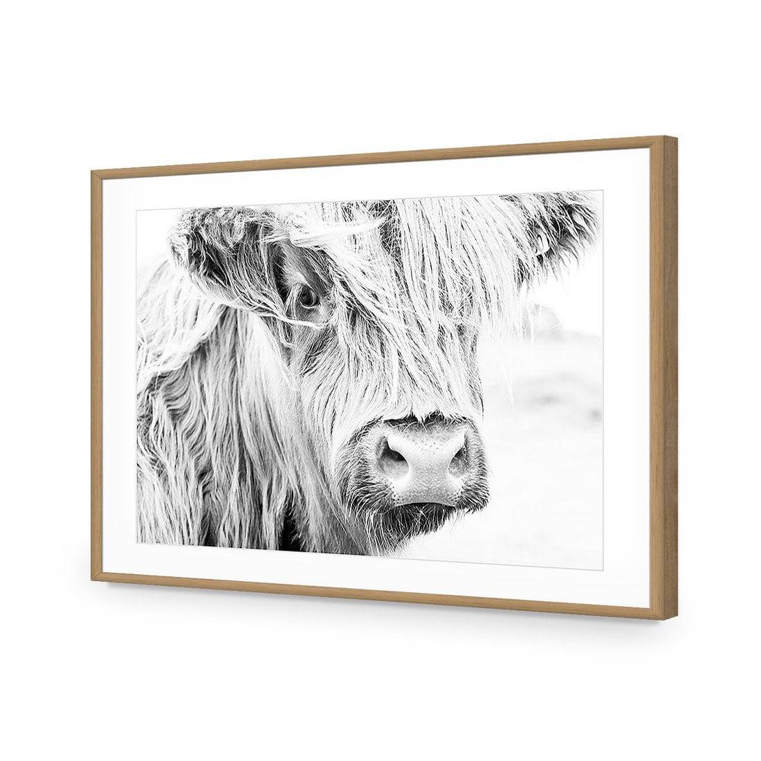 Henrietta the Highland Cow Acrylic Print Art - Wall Art Designs - 3161_AR_H WAD_AP - 030 - MAT_45x30_S - 2538 - OAK