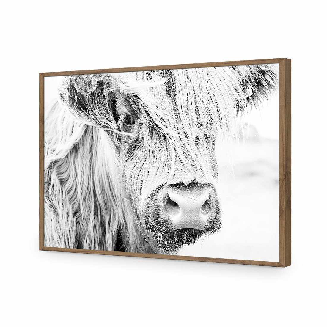 Henrietta the Highland Cow Acrylic Print Art - Wall Art Designs - 3161_AR_H WAD_AP - 030 - EDG_45x30_S - 2538 - NAT