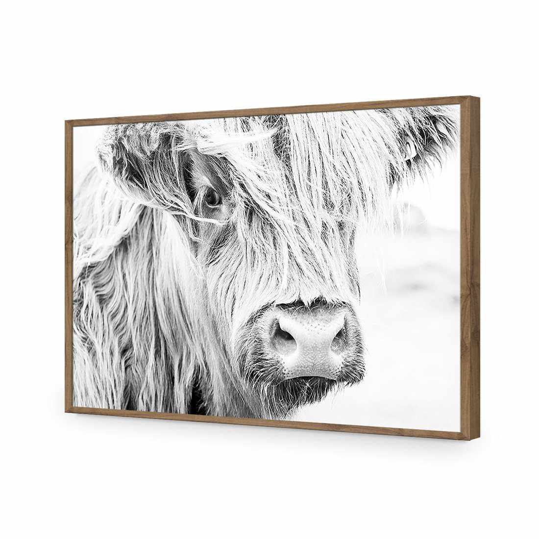 Henrietta the Highland Cow | Classic Acrylic | Flat Frame No Border | Natural