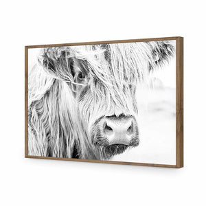 Henrietta the Highland Cow | Classic Acrylic | Flat Frame No Border | Natural