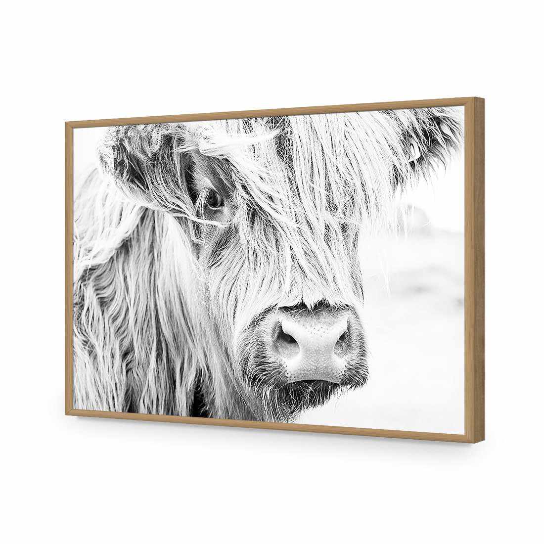 Henrietta the Highland Cow Acrylic Print Art - Wall Art Designs - 3161_AR_H WAD_AP - 030 - EDG_45x30_S - 2538 - OAK