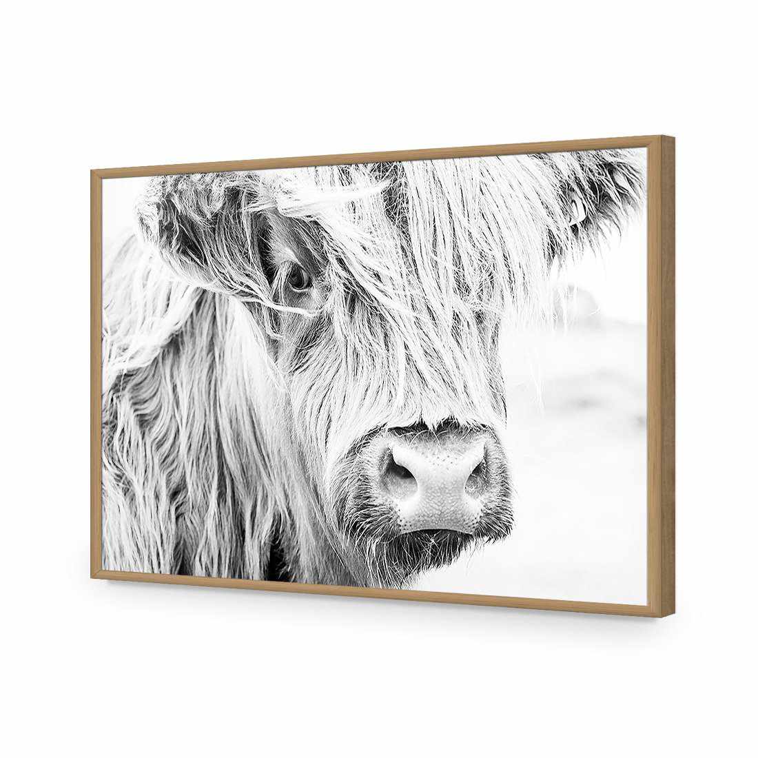 Henrietta the Highland Cow | Classic Acrylic | Flat Frame No Border | Oak