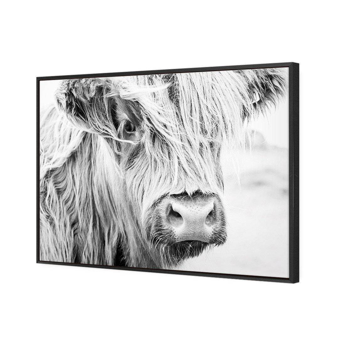 Henrietta the Highland Cow | Standard Canvas | Floating Frame | Black