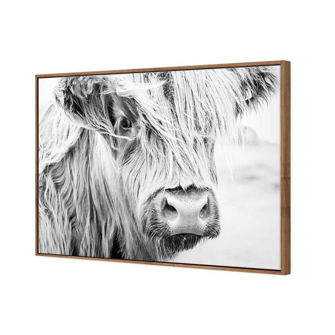 Henrietta the Highland Cow | Classic Canvas | Floating Frame | Natural