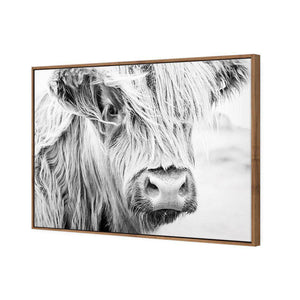 Henrietta the Highland Cow | Classic Canvas | Floating Frame | Natural