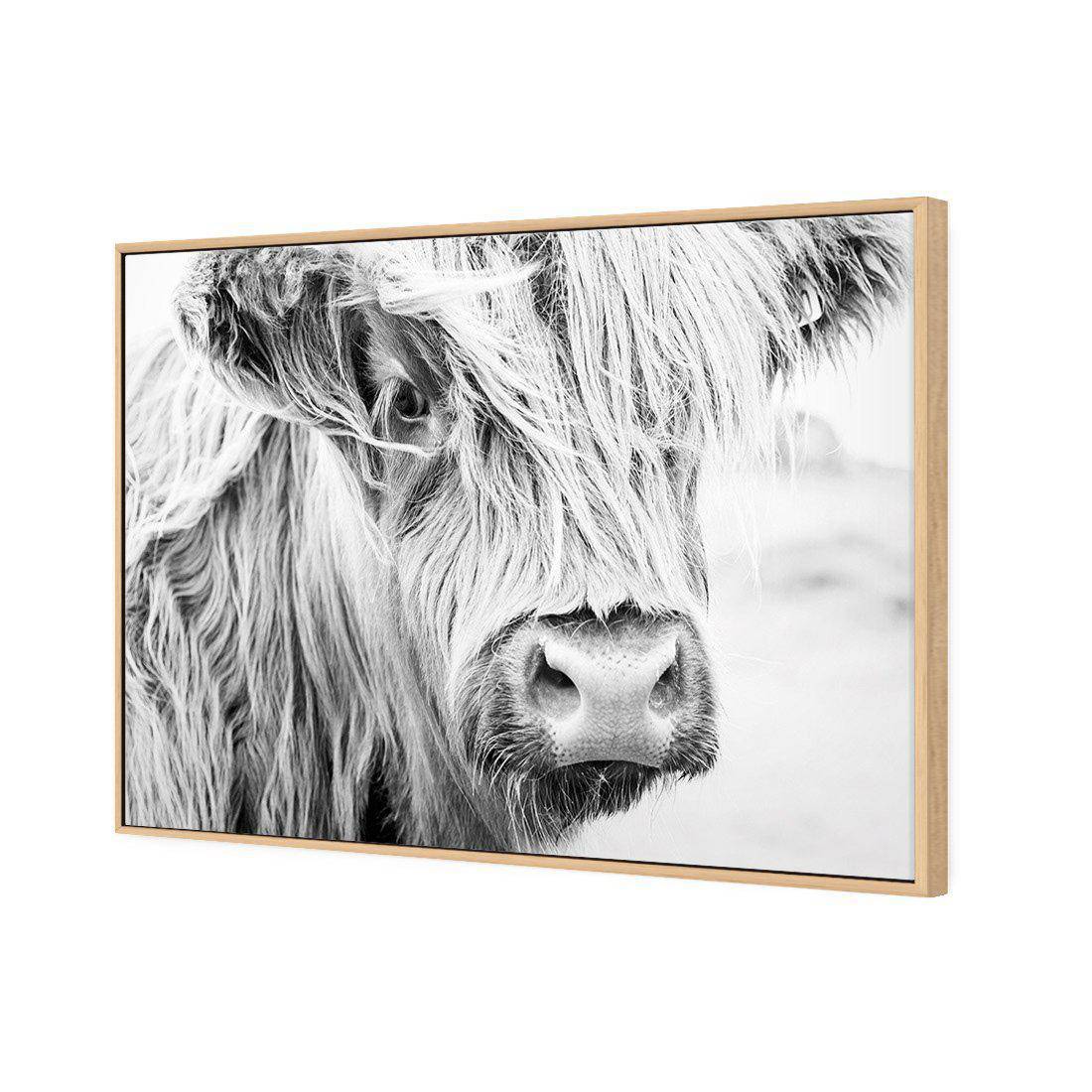 Henrietta the Highland Cow Canvas Art - Wall Art Designs - 3161_AR_H WAD_CP - MPY - 260 - M - S - S_45x30_S - 1550 - OAK