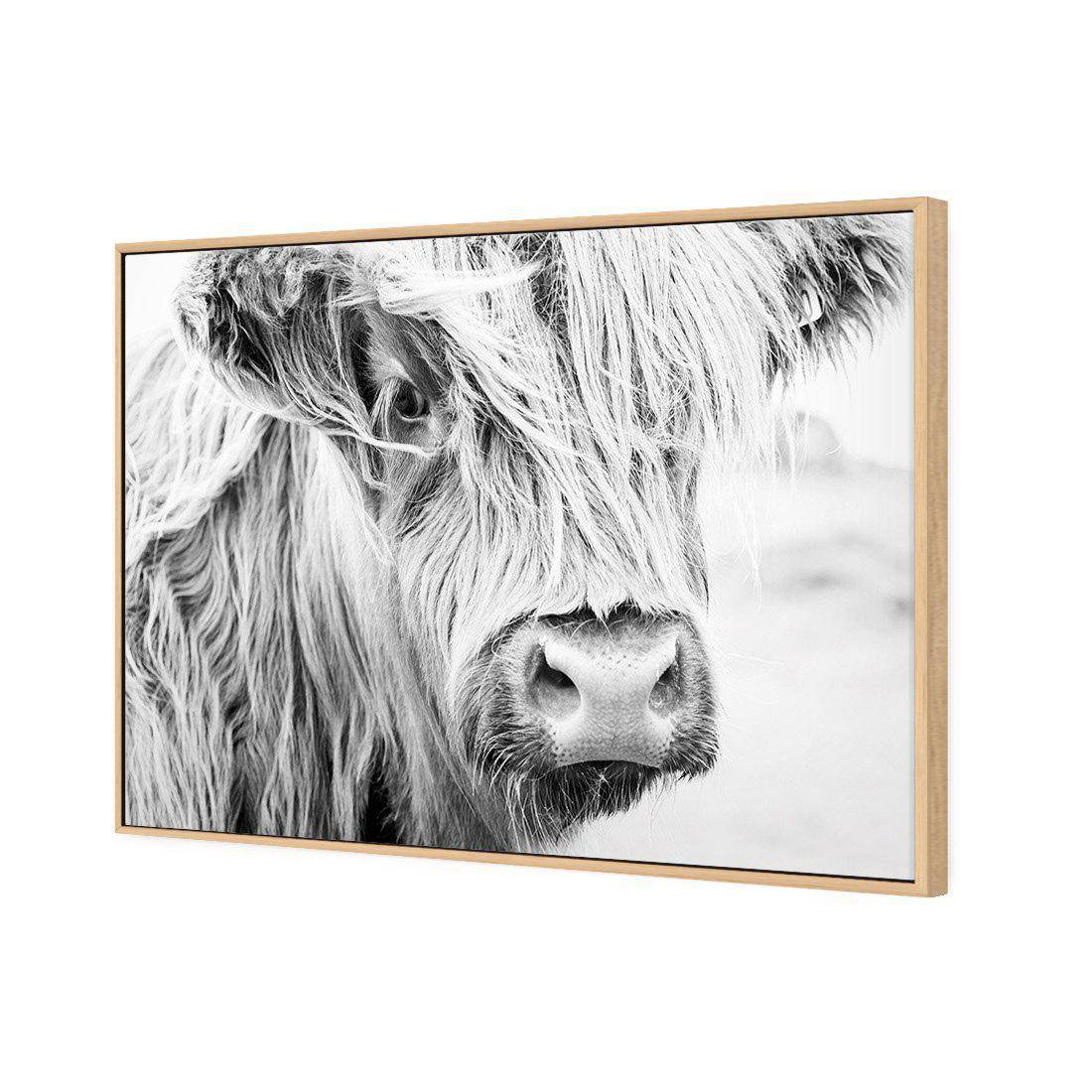 Henrietta the Highland Cow | Classic Canvas | Floating Frame | Oak