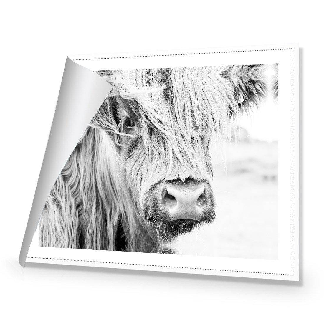 Henrietta the Highland Cow | Classic Canvas | No Frame | Rolled Canvas
