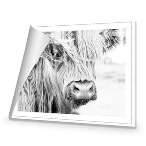 Henrietta the Highland Cow | Classic Canvas | No Frame | Rolled Canvas