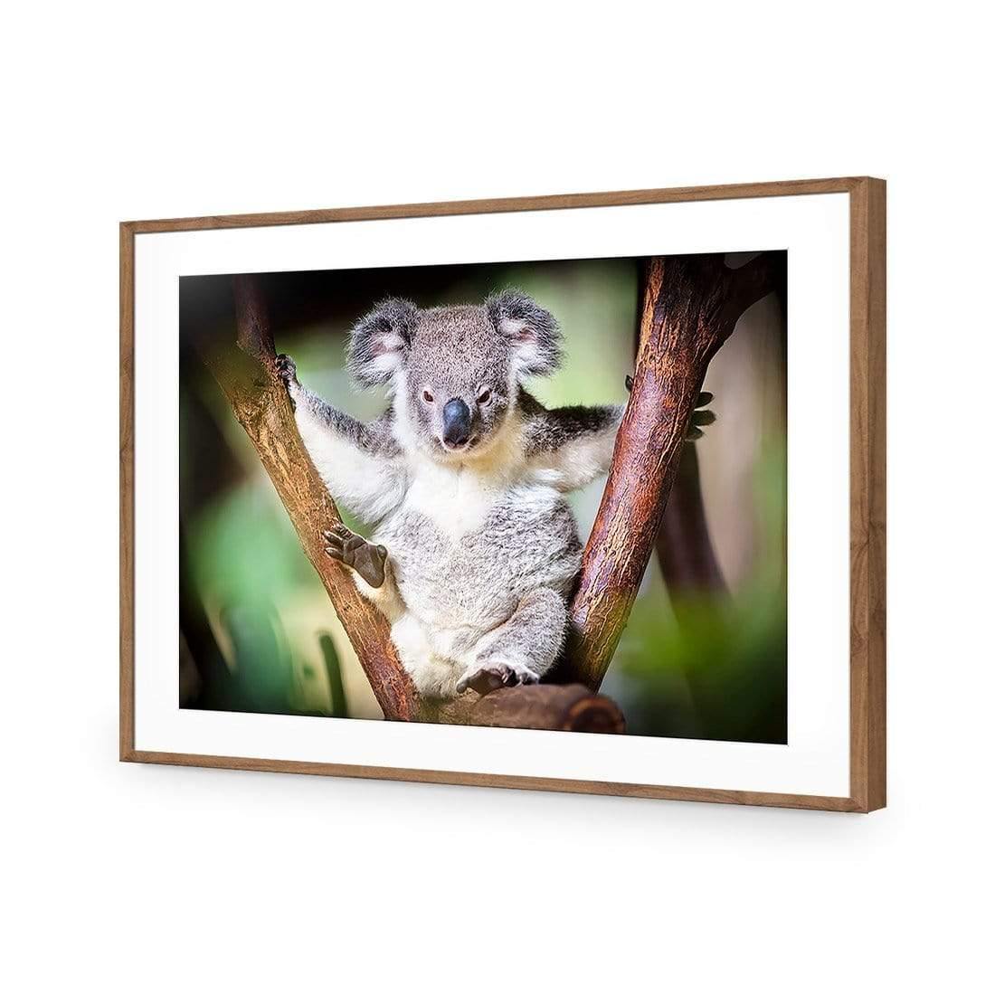 Henry the Koala - Wall Art Designs - 3094_AR_H WAD_CP - MPY - 260 - M - S - S_45x30_NONE