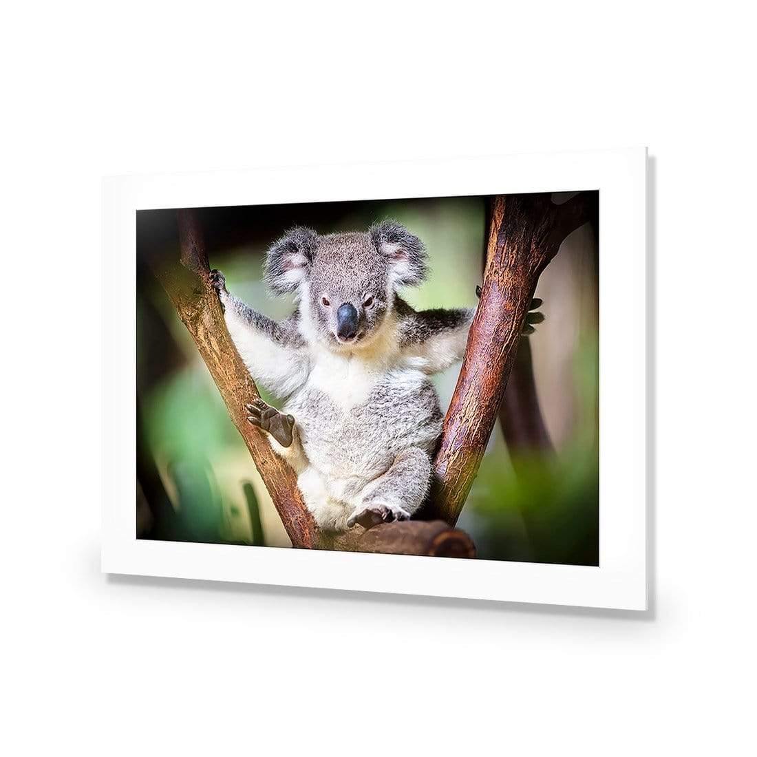 Henry the Koala - Wall Art Designs - 3094_AR_H WAD_CP - MPY - 260 - M - S - S_45x30_NONE