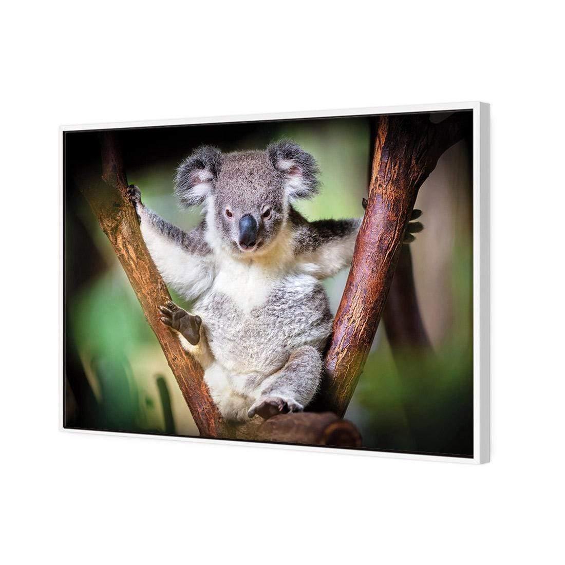 Henry the Koala - Wall Art Designs - 3094_AR_H WAD_CP - MPY - 260 - M - S - S_45x30_NONE