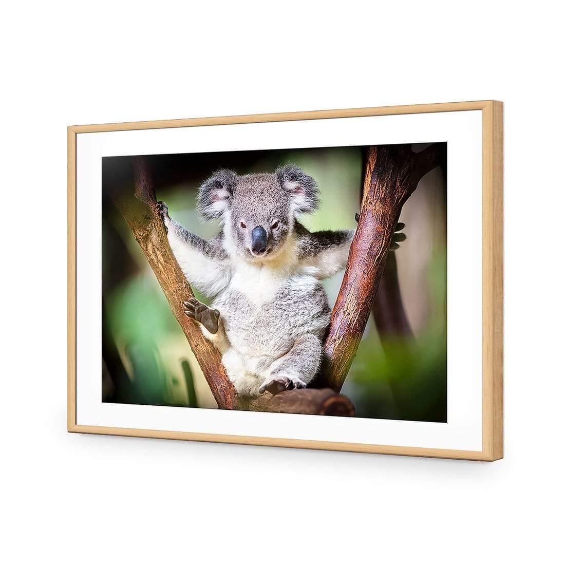 Henry the Koala - Wall Art Designs - 3094_AR_H WAD_CP - MPY - 260 - M - S - S_45x30_NONE