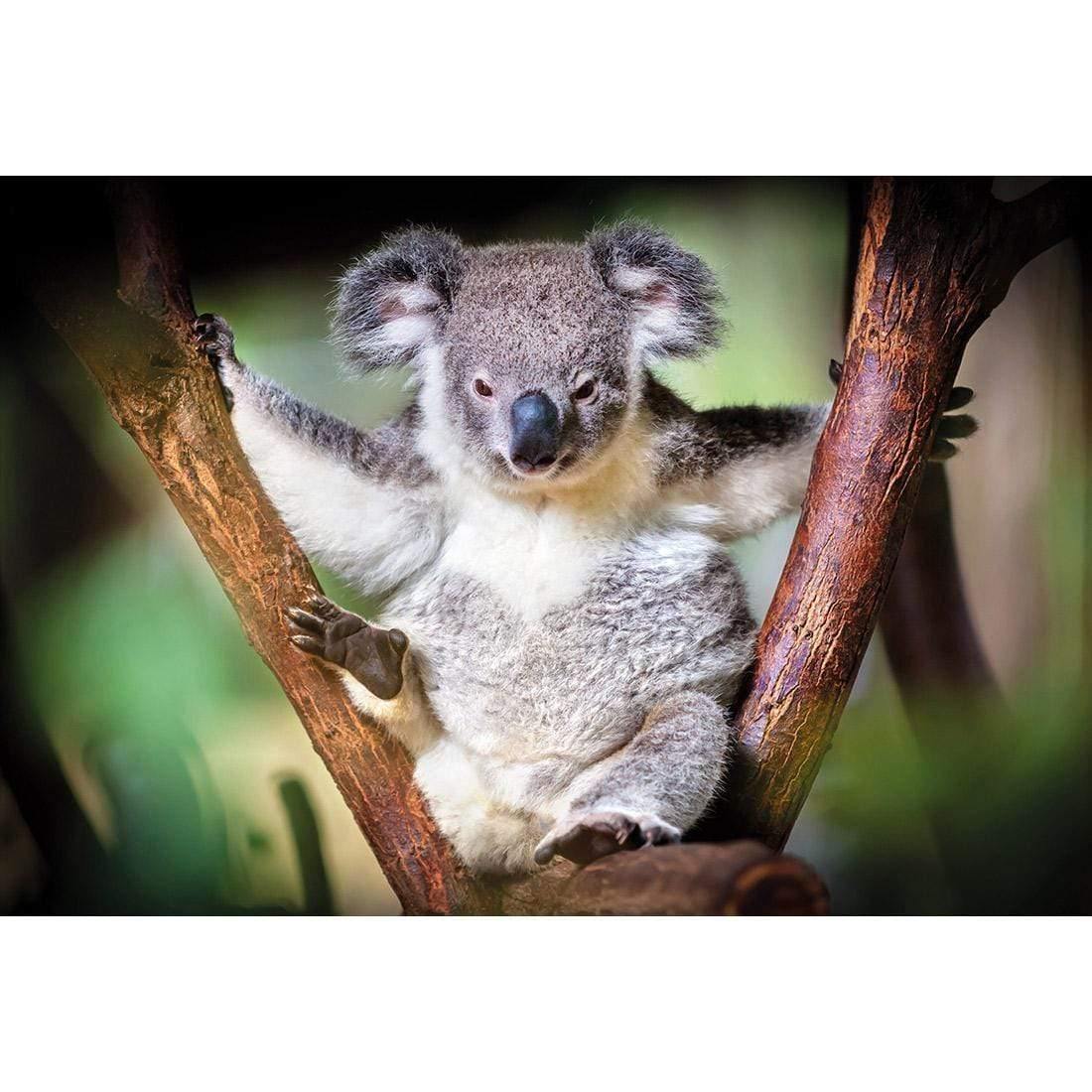 Henry the Koala - Wall Art Designs - 3094_AR_H WAD_CP - MPY - 260 - M - S - S_45x30_NONE