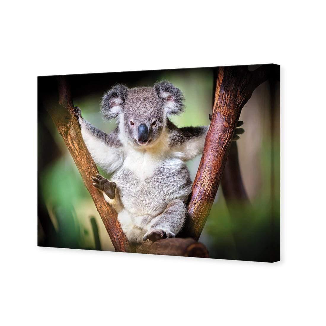 Henry the Koala - Wall Art Designs - 3094_AR_H WAD_CP - MPY - 260 - M - S - S_45x30_NONE