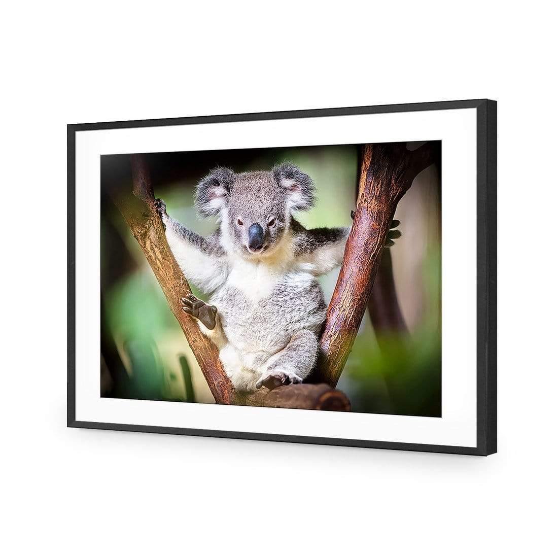 Henry the Koala - Wall Art Designs - 3094_AR_H WAD_CP - MPY - 260 - M - S - S_45x30_NONE