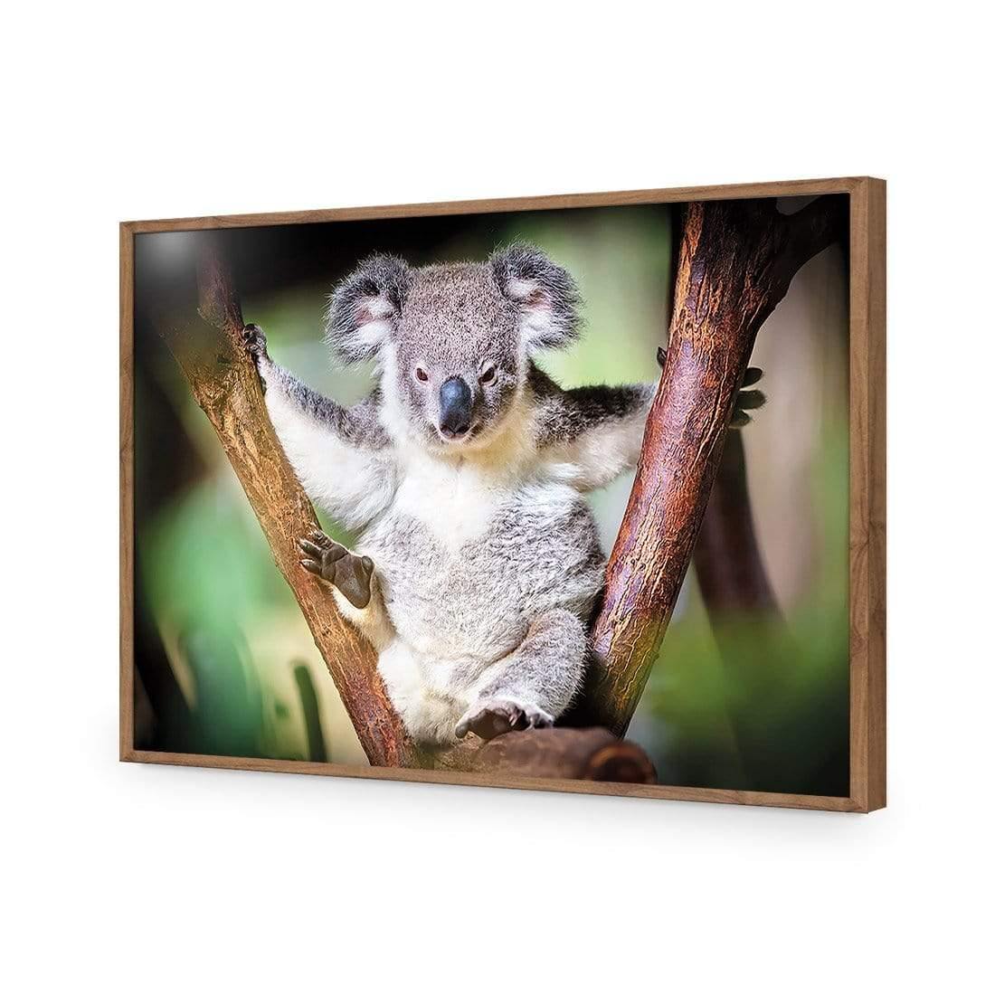 Henry the Koala - Wall Art Designs - 3094_AR_H WAD_CP - MPY - 260 - M - S - S_45x30_NONE