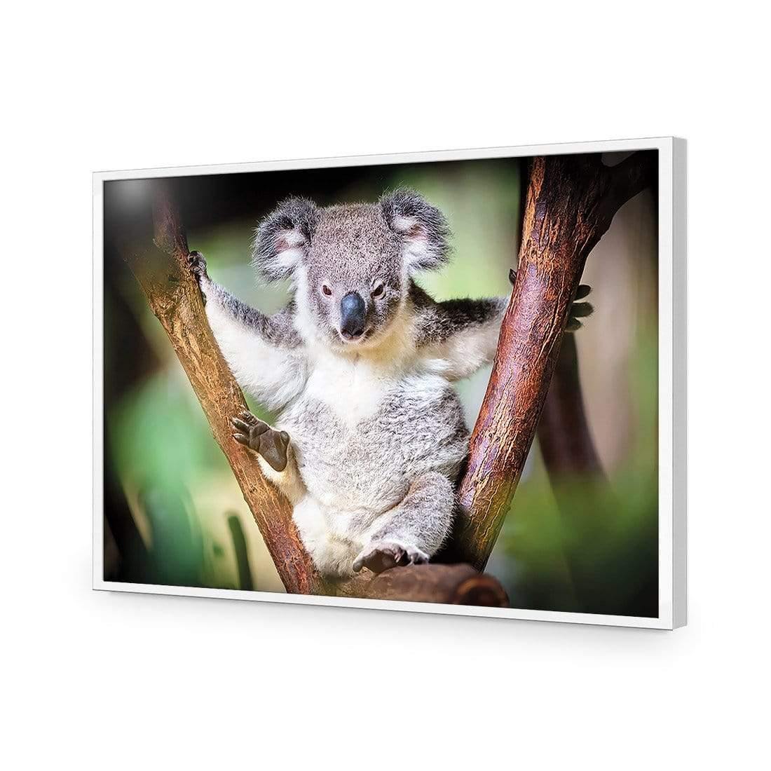 Henry the Koala - Wall Art Designs - 3094_AR_H WAD_CP - MPY - 260 - M - S - S_45x30_NONE