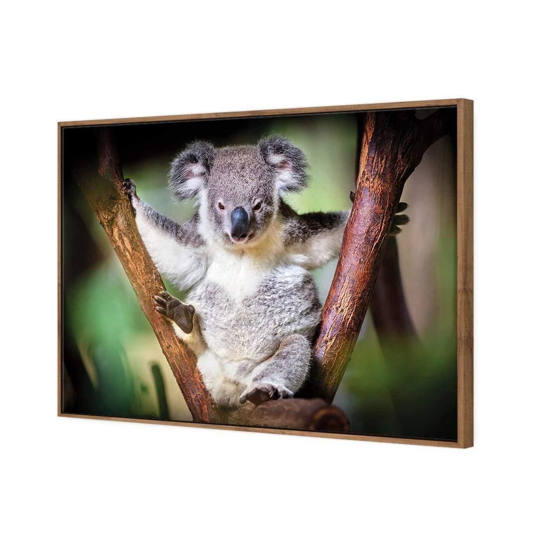 Henry the Koala - Wall Art Designs - 3094_AR_H WAD_CP - MPY - 260 - M - S - S_45x30_NONE