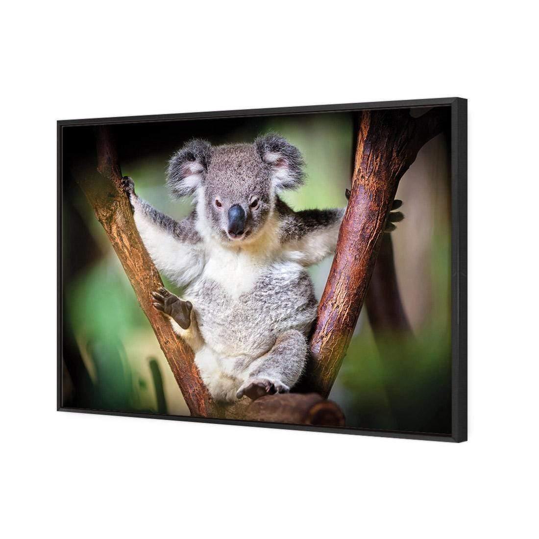 Henry the Koala - Wall Art Designs - 3094_AR_H WAD_CP - MPY - 260 - M - S - S_45x30_NONE