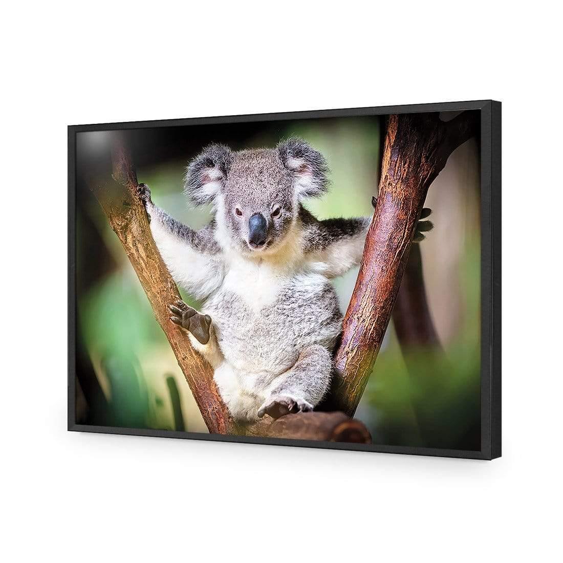 Henry the Koala - Wall Art Designs - 3094_AR_H WAD_CP - MPY - 260 - M - S - S_45x30_NONE