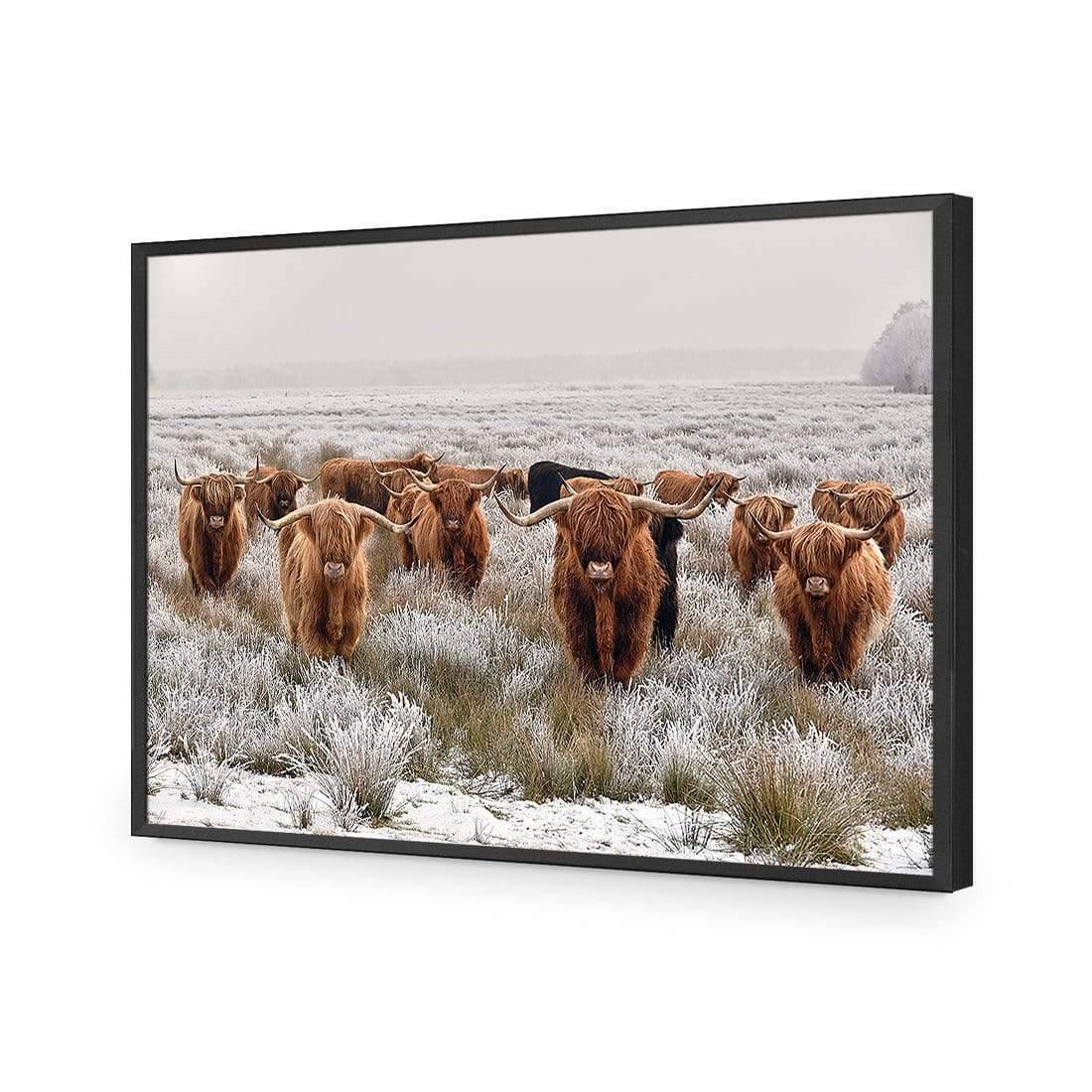 Herd of Highlanders - Wall Art Designs - 4085_AR_H CAF_AP - 030 - EDG_45x30_S - 2538 - BLK