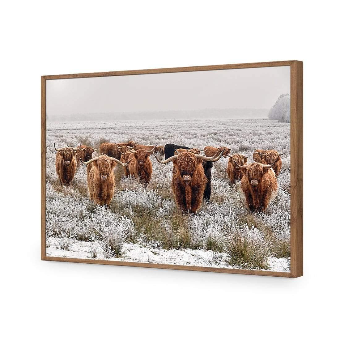 Herd of Highlanders - Wall Art Designs - 4085_AR_H CAF_AP - 030 - EDG_45x30_S - 2538 - NAT